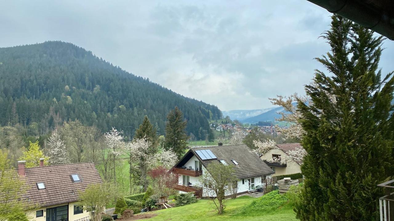 Black Forest Scenic Escape Баїрсбронн Екстер'єр фото